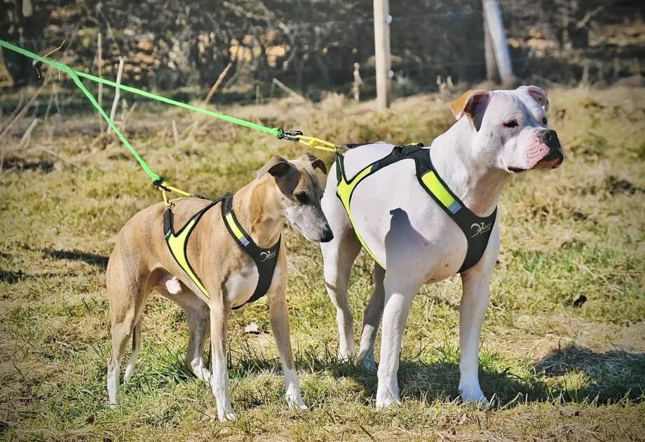 Standard veoliin (200 cm)