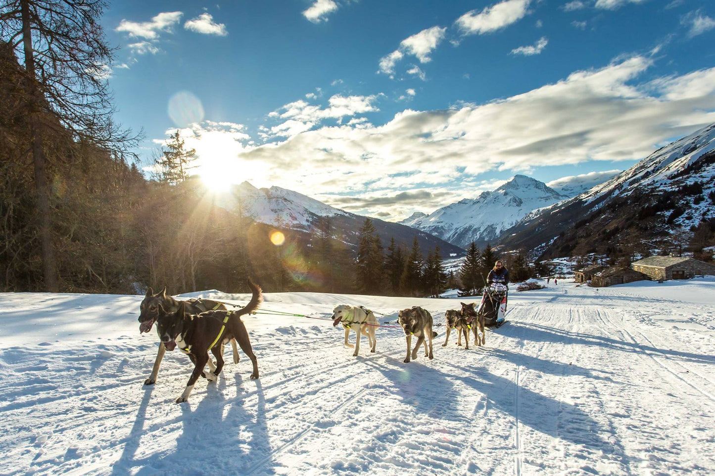 Skandinaavia traksid