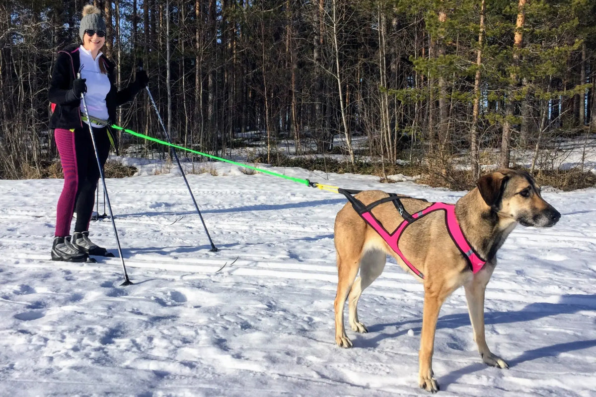 Pikk veoliin (390 cm)